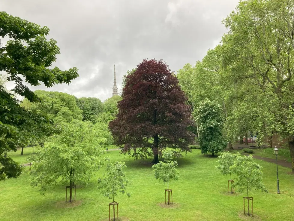 Visiter Turin en 1 jour : itinéraire,  conseils et bons plans